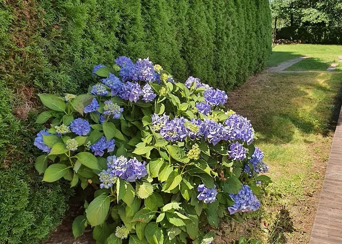 Horská chata Matteo